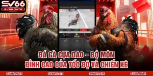 Đá Gà Cựa Dao – Bộ Môn Đỉnh Cao Của Tốc Độ Và Chiến Kê