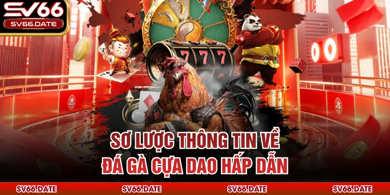 Sơ lược thông tin về đá gà cựa dao hấp dẫn